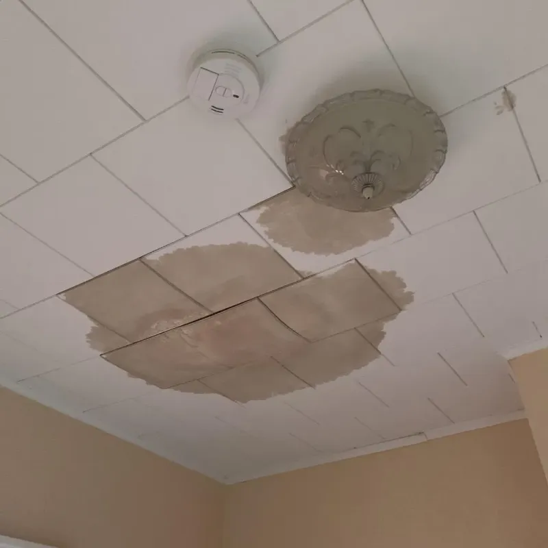 Ceiling Water Damage Repair in Longmeadow, MA