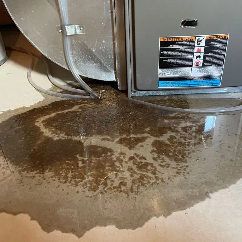Pipe Burst and Leak Restoration in Longmeadow, MA