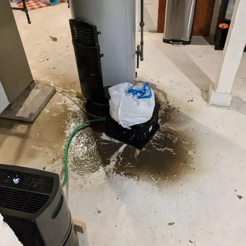 Sewage Backup Cleanup Service in Longmeadow, MA